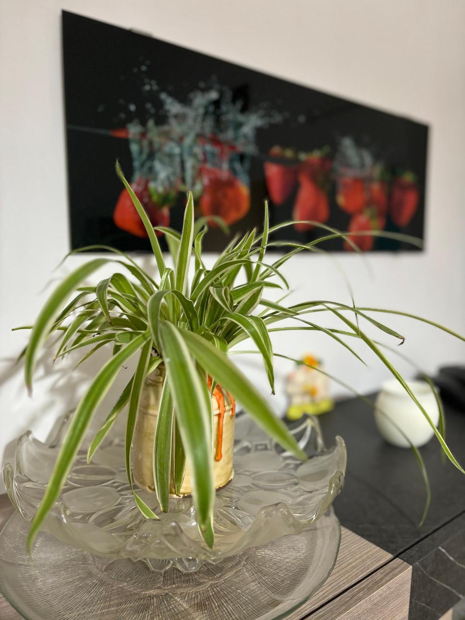 Vivi Aguilera Apartament Bologna Kültér fotó